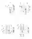 Fig. 09 - Wearable high resolution audio visual interface