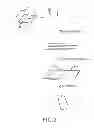 Fig. 06 - Unidirectional prepreg and processing method thereof