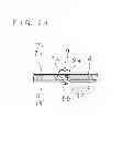 Fig. 97 - Light source device and display device