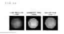 Fig. 33 - Light emitting device, lighting device