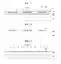 Fig. 05 - Light-emitting device and light-emitting system including the same