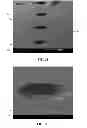 Fig. 14 - Article of manufacture with micro-features of differing surface roughness