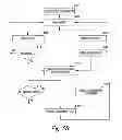 Fig. 08 - Sensing memory cells