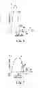 Fig. 07 - Latent slow bit detection for non-volatile memory