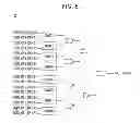 Fig. 07 - Semiconductor memory device