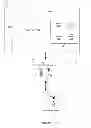 Fig. 06 - Method and system for compensated time stamping for time-sensitive network communications