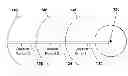 Fig. 01 - Geocast protocol for wireless sensor network