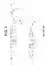 Fig. 02 - Resolving co-channel interference between overlapping users using rank selection