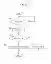 Fig. 06 - Transmitting apparatus and transmission method