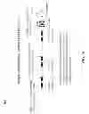 Fig. 19 - Single pass RF driver