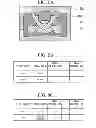 Fig. 06 - Electronic divice, selection method, acquisition method, electronic appratus, synthesis method and synthesis program