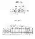 Fig. 18 - Electronic divice, selection method, acquisition method, electronic appratus, synthesis method and synthesis program