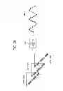Fig. 30 - Electronic divice, selection method, acquisition method, electronic appratus, synthesis method and synthesis program