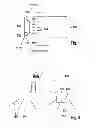 Fig. 02 - Method and device for detecting objects in the surroundings of a vehicle