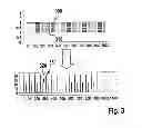Fig. 03 - Method and device for detecting objects in the surroundings of a vehicle