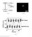 Fig. 07 - Imaging methods and computer-readable media