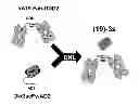 Fig. 01 - Combination therapy for inducing immune response to disease