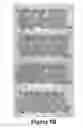 Fig. 09 - Androgen Suppression, Prostate-Specific Membrane Antigen and the Concept of Conditionally Enhanced Vulnerability