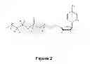 Fig. 03 - ISOTOPICALLY LABELED CDP-CHOLINE AND USES THEREOF
