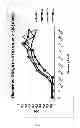 Fig. 02 - Near infrared absorbers