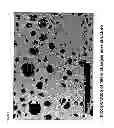 Fig. 06 - Biodegradable polyurethane/urea compositions