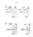 Fig. 03 - Method for increasing granulocyte number in a patient by administering superactive IL-33 fragments