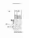 Fig. 04 - Method for increasing granulocyte number in a patient by administering superactive IL-33 fragments