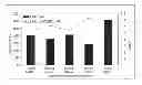 Fig. 01 - Composition for preventing or treating AIDS containing plant stem cell line derived from cambium of Panax ginseng including wild ginseng or ginseng as active ingredient