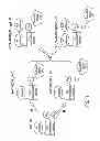 Fig. 02 - Biotherapy for pain