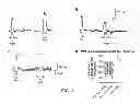 Fig. 06 - Methods of Treating a Tauopathy