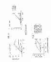 Fig. 07 - Dendritic cell co-stimulatory molecules