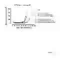 Fig. 22 - EGFR-binding molecules and immunoconjugates thereof