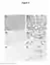 Fig. 04 - Methods for treating juvenile arthritis with ant-bile salt-stimulated lipase (BSSL) antibodies