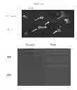 Fig. 23 - HERV-K antigens, antibodies, and methods