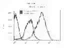 Fig. 24 - HERV-K antigens, antibodies, and methods