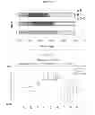 Fig. 28 - HERV-K antigens, antibodies, and methods