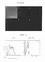 Fig. 44 - HERV-K antigens, antibodies, and methods
