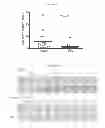 Fig. 48 - HERV-K antigens, antibodies, and methods