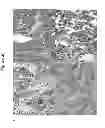 Fig. 68 - HERV-K antigens, antibodies, and methods