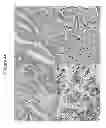 Fig. 72 - HERV-K antigens, antibodies, and methods