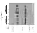 Fig. 85 - HERV-K antigens, antibodies, and methods