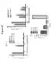 Fig. 89 - HERV-K antigens, antibodies, and methods