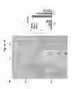 Fig. 91 - HERV-K antigens, antibodies, and methods