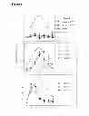 Fig. 09 - Pharmaceutical composition comprising antibodies against catalase and superoxide dismutase for tumor therapy