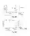 Fig. 07 - Zwitterionic immunomodulators for the treatment of asthma and allergy