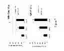 Fig. 08 - Compositions and methods for targeting stromal cells for the treatment of cancer