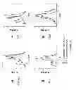 Fig. 32 - Compositions and methods for targeting stromal cells for the treatment of cancer
