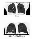 Fig. 01 - Modulated Immunodominance Therapy