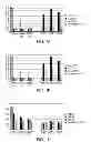 Fig. 02 - Modulated Immunodominance Therapy