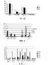 Fig. 04 - Modulated Immunodominance Therapy